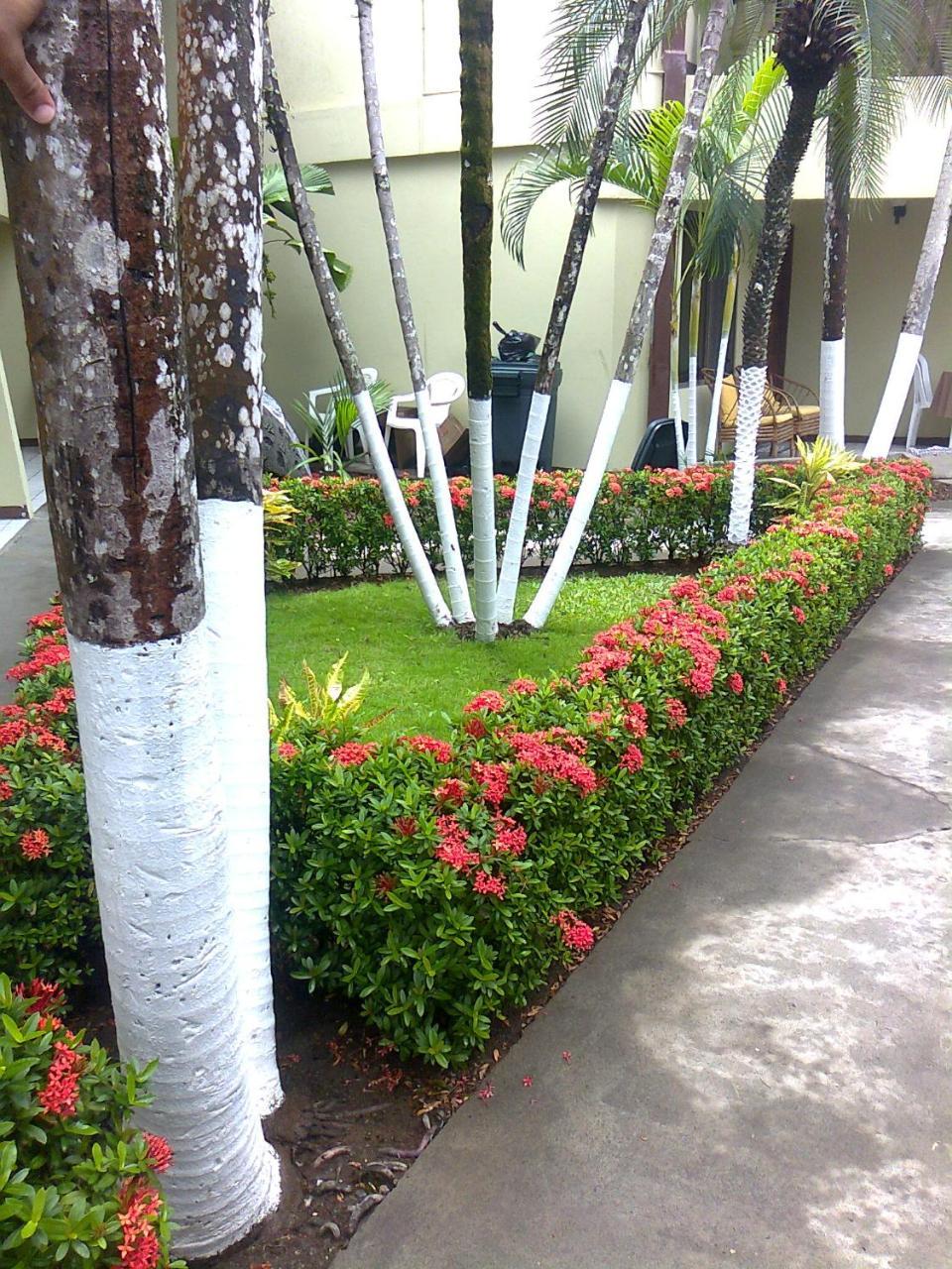 Hotel Mango Mar ฆาโก ภายนอก รูปภาพ